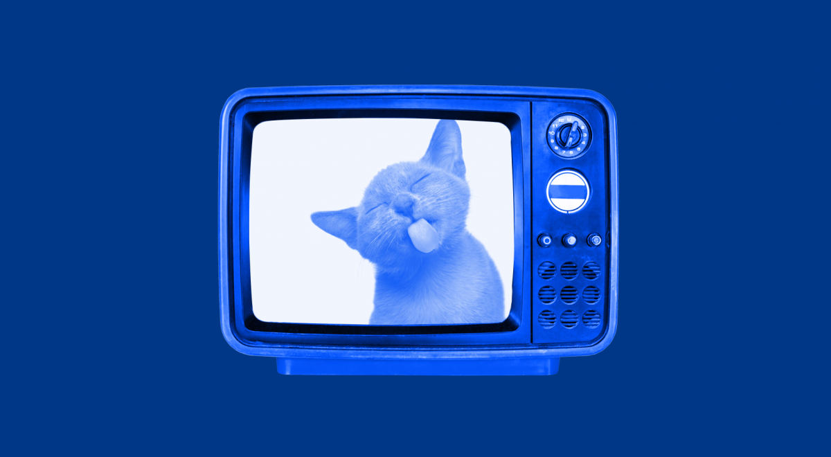 En söt katt som slickar på en tv-skärm